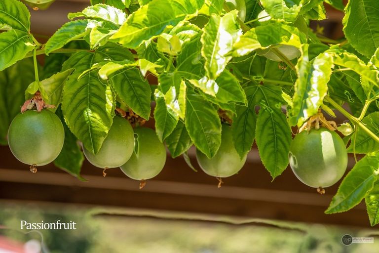 Photo of property in 2/2 Haig Street, Waterloo, Lower Hutt, 5011