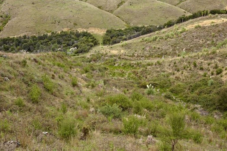 Photo of property in 43 Haul Road, Tahekeroa, Kaukapakapa, 0873