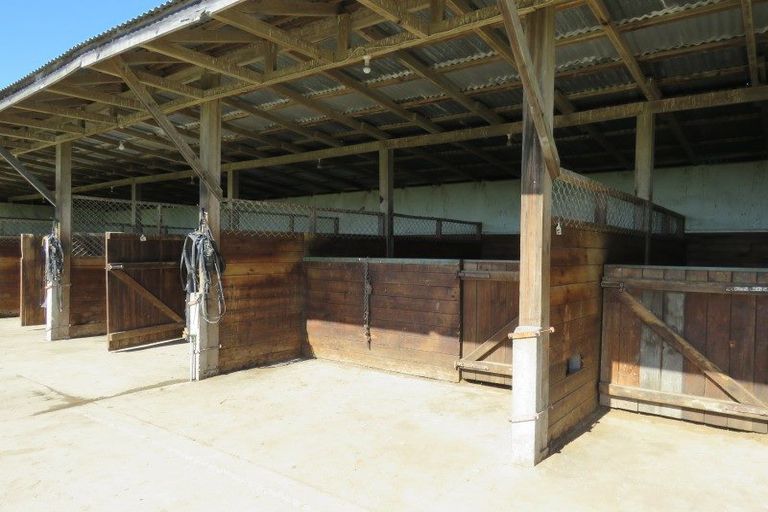 Photo of property in 330 Macaulay Road, Milford, Temuka, 7986