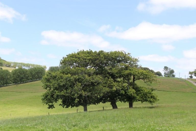 Photo of property in 182 Morrison Road, Arapohue, Dargaville, 0374