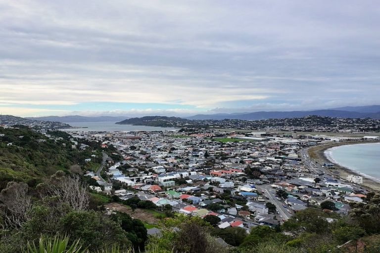 Photo of property in 133 Hornsey Road, Melrose, Wellington, 6023