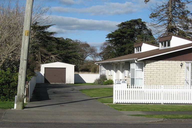 Photo of property in 113a Tutaenui Road, Marton, 4710
