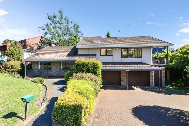 Photo of property in 40 Mcmeekan Avenue, Chartwell, Hamilton, 3210