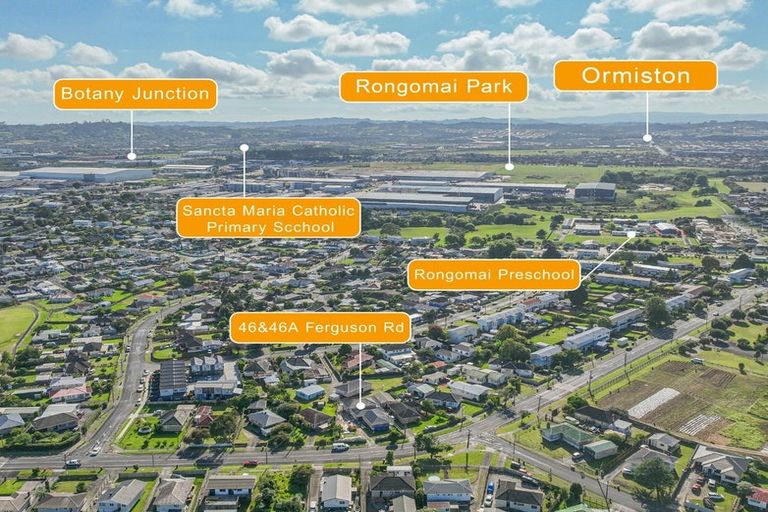 Photo of property in 46 Ferguson Road, Otara, Auckland, 2023