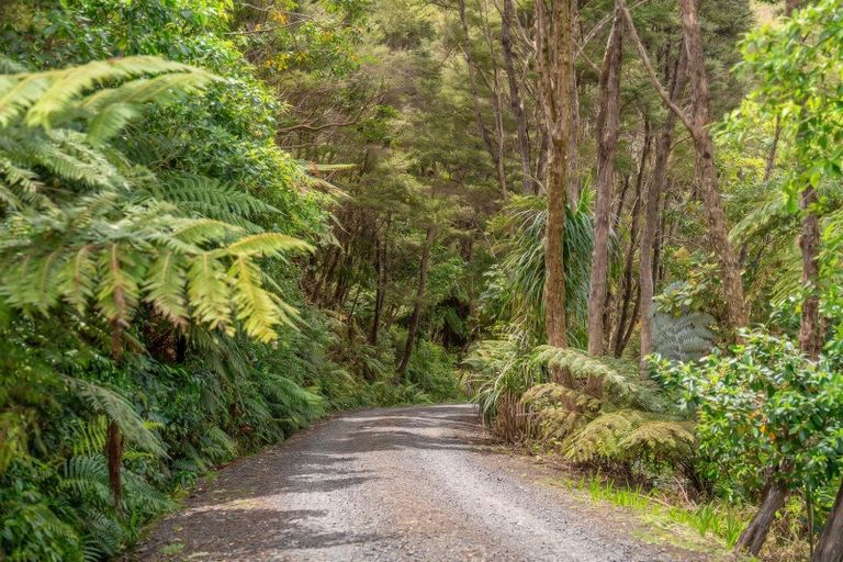 Photo of property in 860 Buffalo Road, Coromandel, 3506