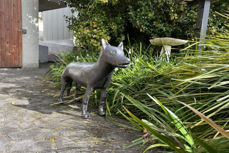 Photo of property in 56 Murray Street, Kew, Dunedin, 9012