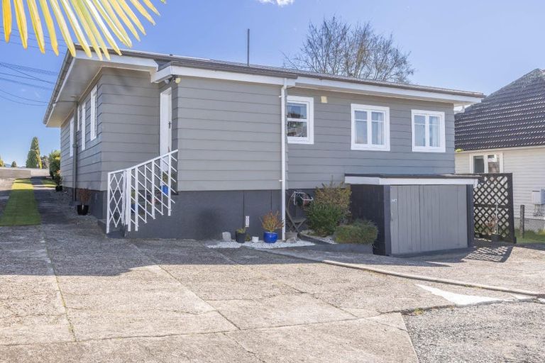 Photo of property in 291 Pakura Street, Te Awamutu, 3800