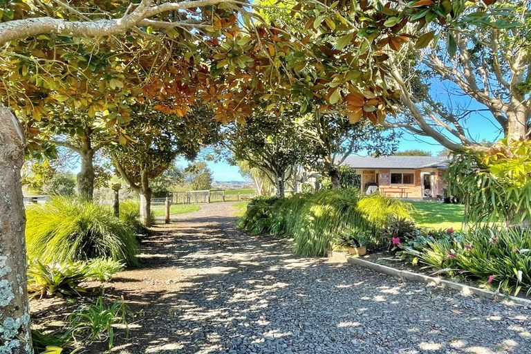 Photo of property in 499 Clark And Denize Road, Pukekawa, Tuakau, 2696