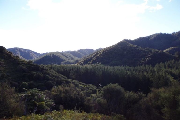 Photo of property in 1677 Takaputahi Road, Toatoa, Opotiki, 3197