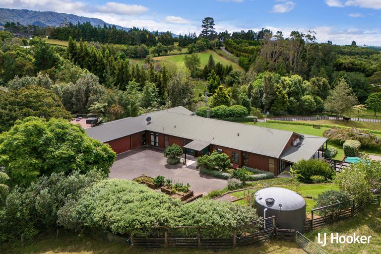 Photo of property in 325c Rea Road, Tahawai, Katikati, 3178