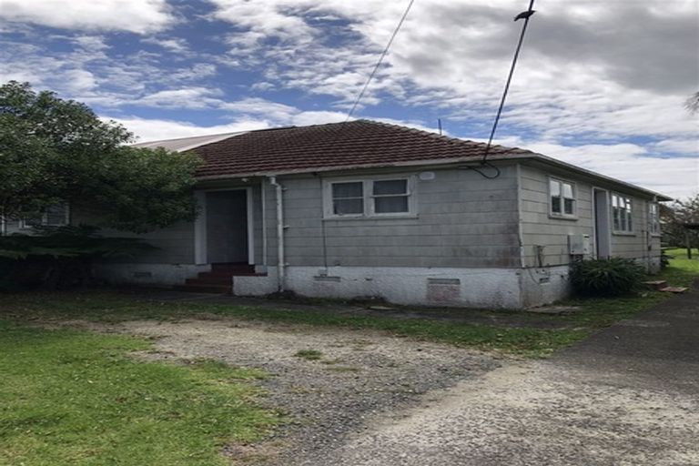 Photo of property in 69 Arawa Street, New Lynn, Auckland, 0600
