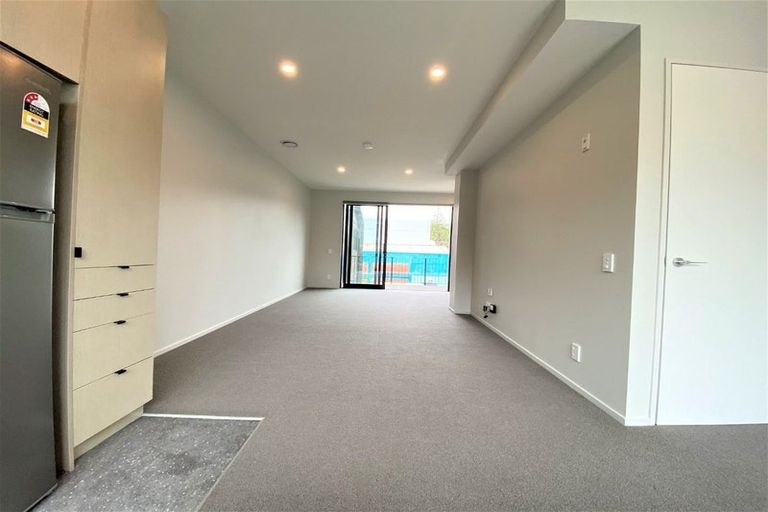 Photo of property in Aniva Terrace, 32 Ferguson Street, Newtown, Wellington, 6021
