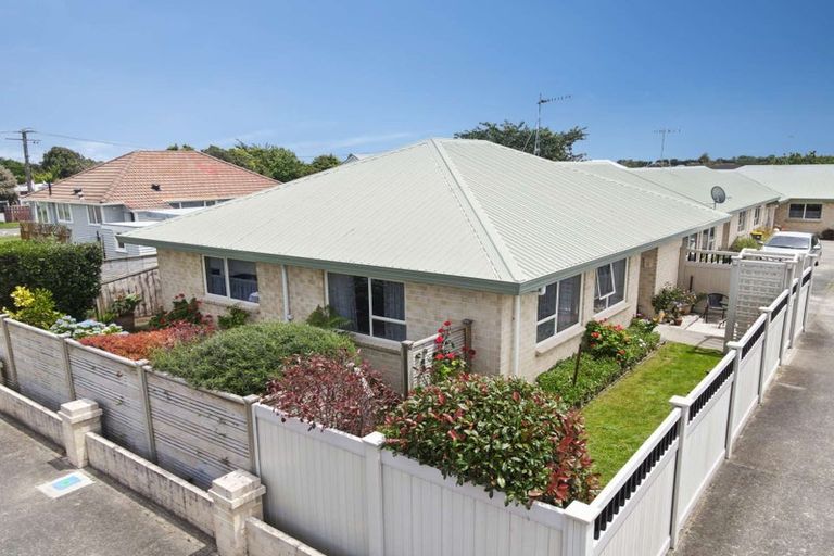 Photo of property in 61 Winchester Street, Levin, 5510