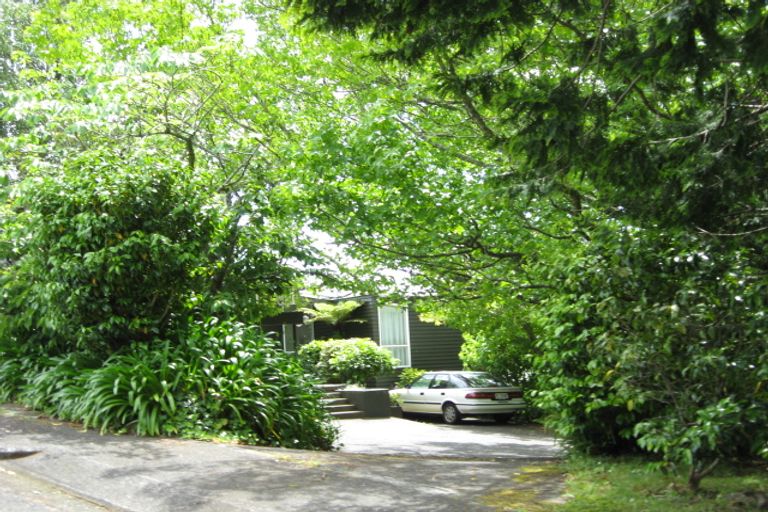 Photo of property in 295 Upper Queen Street, Pukekohe, 2120