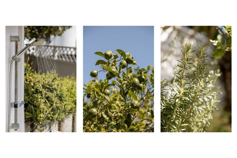 Photo of property in 18 Claydon Place, Ohope, 3121