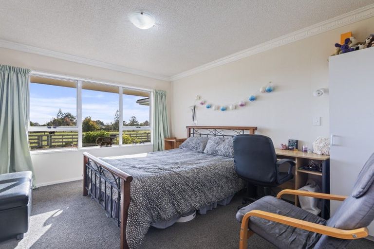 Photo of property in 840 Makerua Road, Tokomaru, Palmerston North, 4474