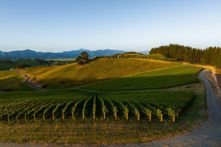 Photo of property in 417 Delta Lake Heights, Renwick, Blenheim, 7271