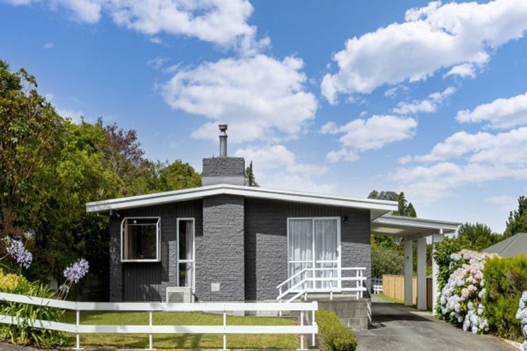 Photo of property in 66a Wakeman Street, Pahiatua, 4910