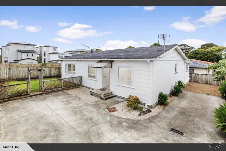 Photo of property in 14 Holland Avenue, Point England, Auckland, 1072