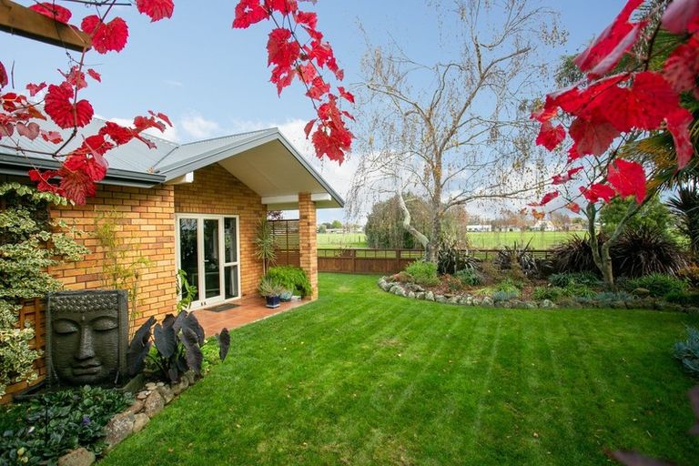 Photo of property in 41 Oaklands Drive, Cambridge, 3434