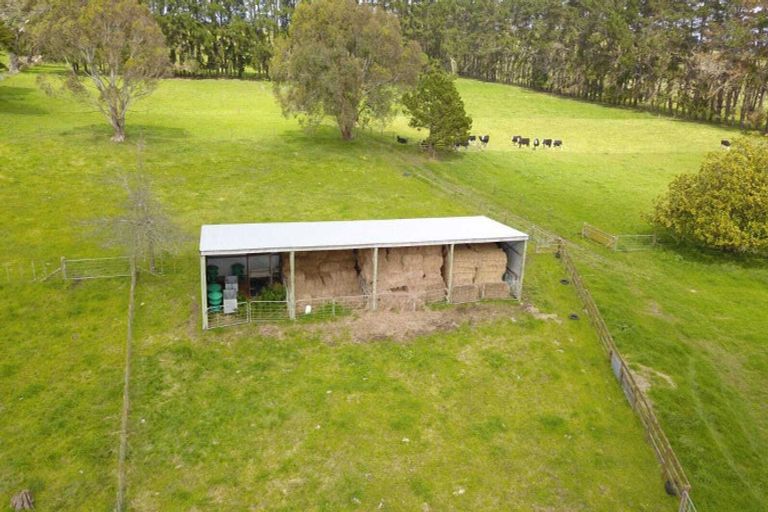 Photo of property in 358 Foxton Shannon Road, Foxton, 4893
