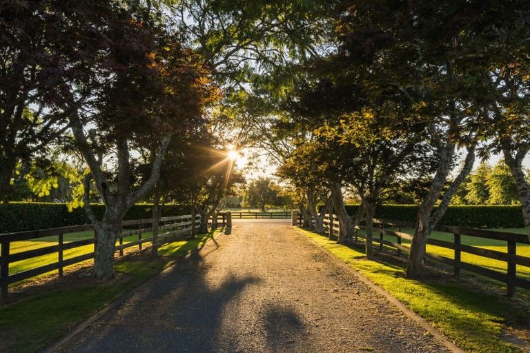 Photo of property in 48 Peake Road, Cambridge, Hamilton, 3283