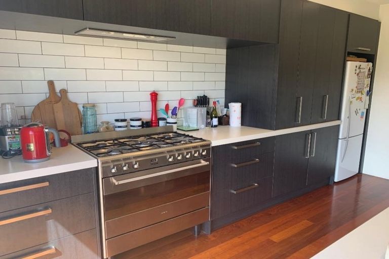 Photo of property in 46 Quinnat Street, Albert Town, Wanaka, 9305