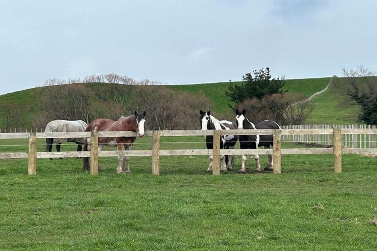 Photo of property in 19 Black Road, Ashley Clinton, Takapau, 4286