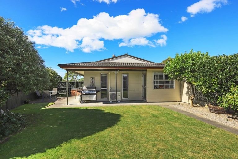 Photo of property in 39 Westminster Avenue, Tamatea, Napier, 4112