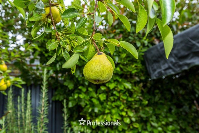 Photo of property in 18 Seddon Street, Wallaceville, Upper Hutt, 5018