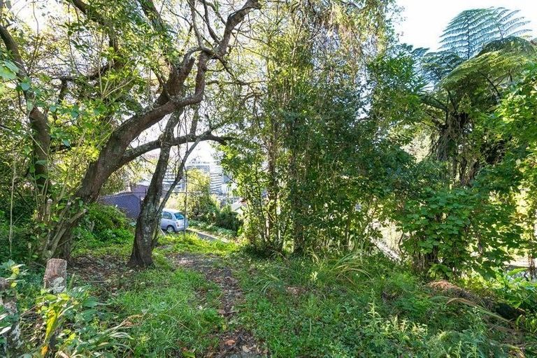 Photo of property in 340 The Terrace, Te Aro, Wellington, 6011