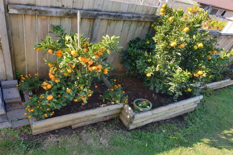 Photo of property in 13 Pedlar Street, Mangakakahi, Rotorua, 3015