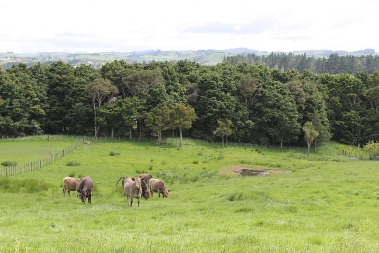 Photo of property in 105 Jumna Road, Maungaturoto, 0587