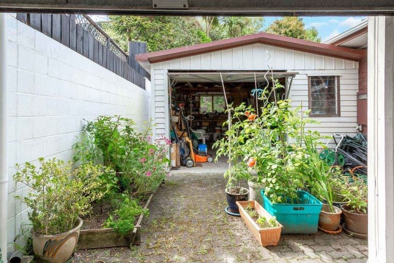 Photo of property in 59 Glen Lynne Avenue, Queenwood, Hamilton, 3210