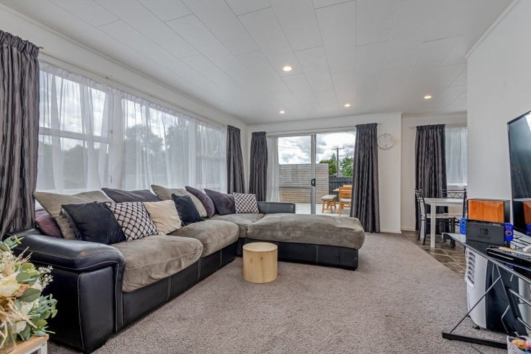 Photo of property in 95 Wyndham Street, Ashhurst, 4810