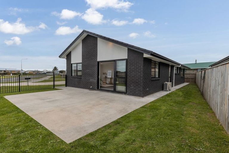 Photo of property in 79 Hinemoa Street, Levin, 5510