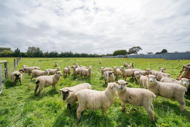 Photo of property in 33 Pomona Road West, Makarewa, Invercargill, 9876