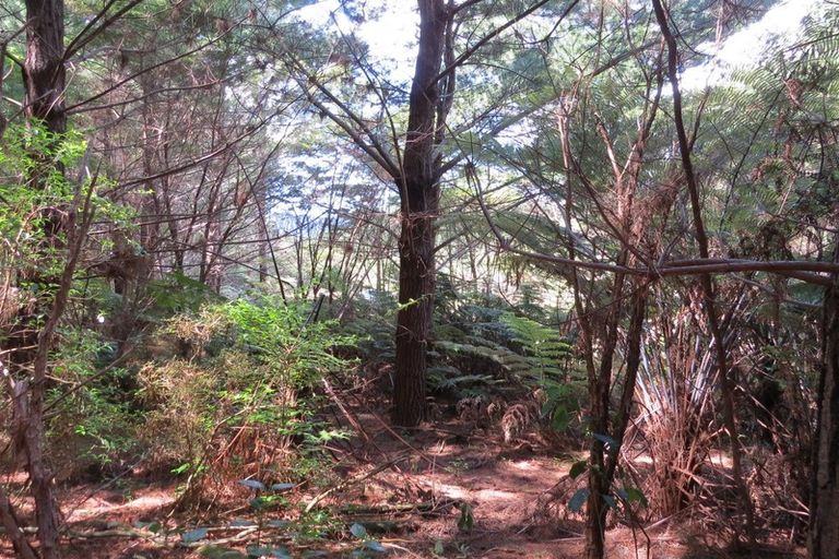 Photo of property in 154 Wood Road, Colville, Coromandel, 3584