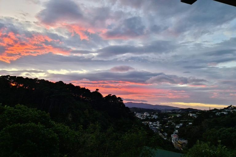 Photo of property in 129 Raroa Road, Aro Valley, Wellington, 6012