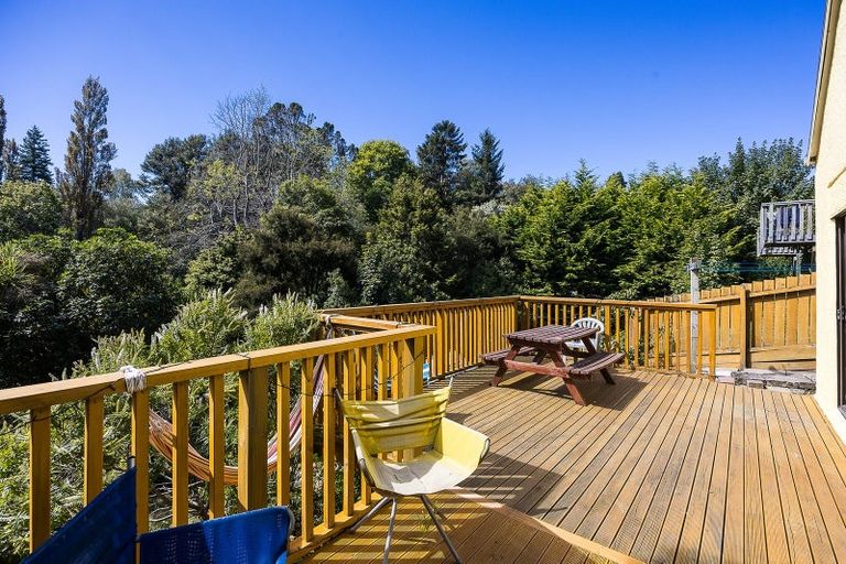 Photo of property in 57 Opoho Road, North East Valley, Dunedin, 9010