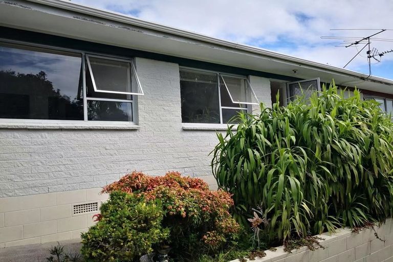 Photo of property in 1/454 East Coast Road, Windsor Park, Auckland, 0630