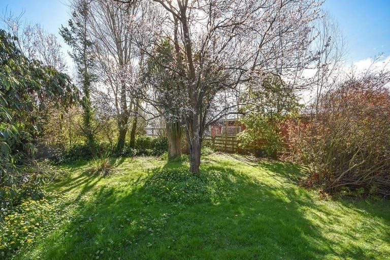 Photo of property in 7 Castle Street, Waihola, Milton, 9073