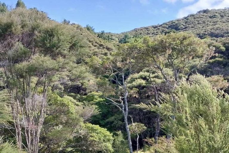 Photo of property in 1762 Kohumaru Road, Peria, Kaitaia, 0482