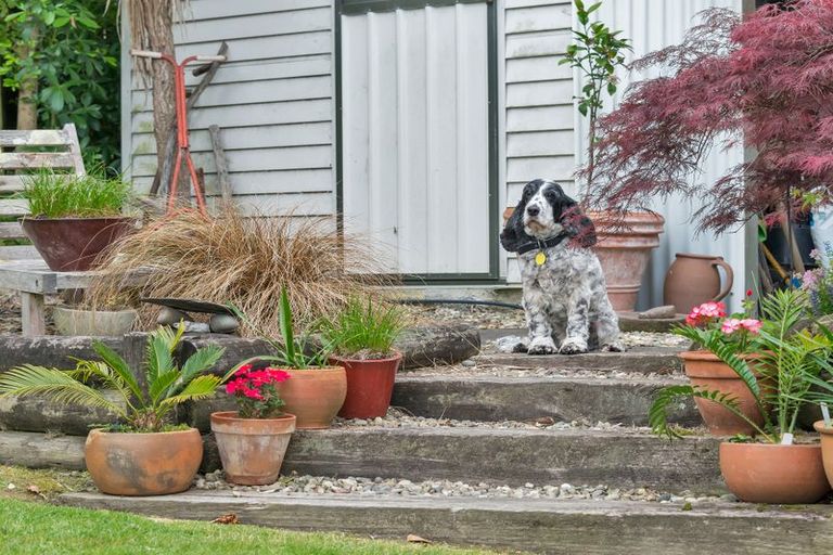 Photo of property in 22 Salamanca Road, Sunnynook, Auckland, 0620