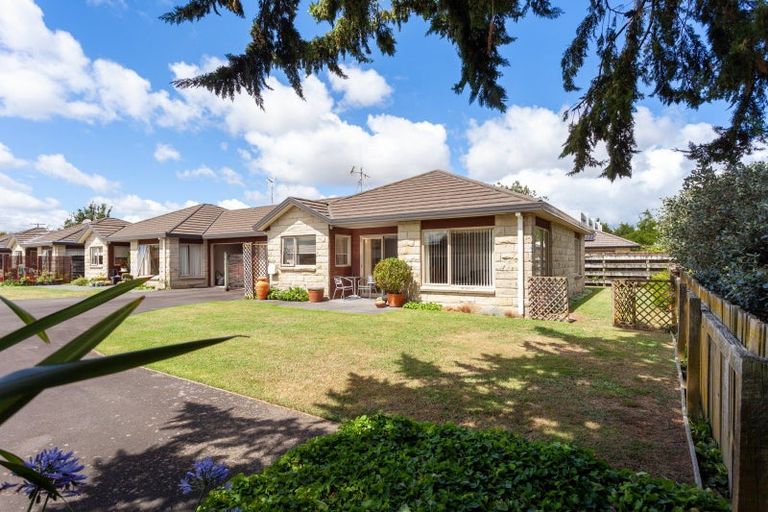 Photo of property in 8d Vosper Street, Matamata, 3400