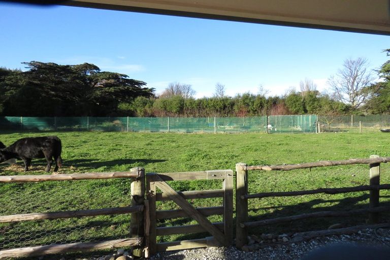 Photo of property in 47 Kekerengu Road, Kekerengu, Kaikoura, 7274