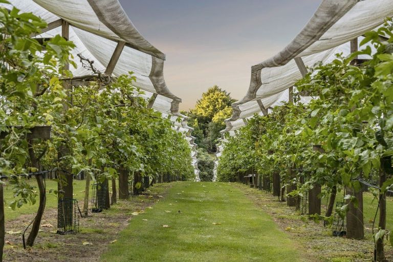 Photo of property in 241 Rea Road, Tahawai, Katikati, 3178