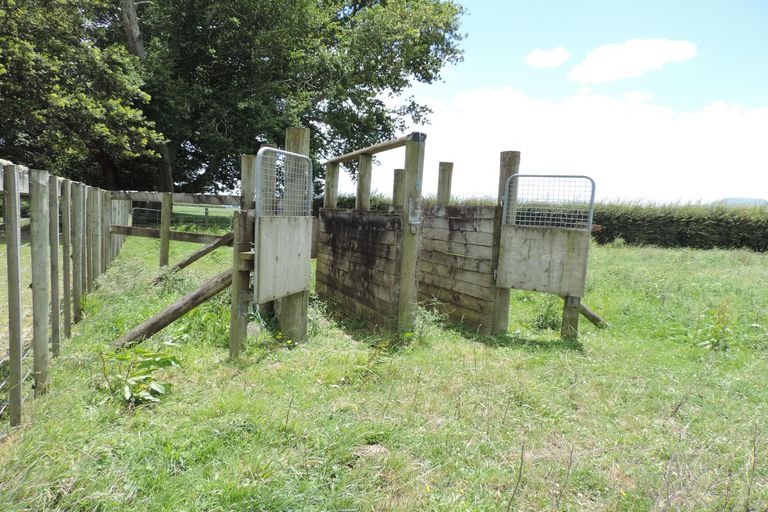 Photo of property in 1463 Alexandra Road, Waharoa, 3474