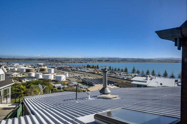 Photo of property in 34 Roslyn Road, Bluff Hill, Napier, 4110