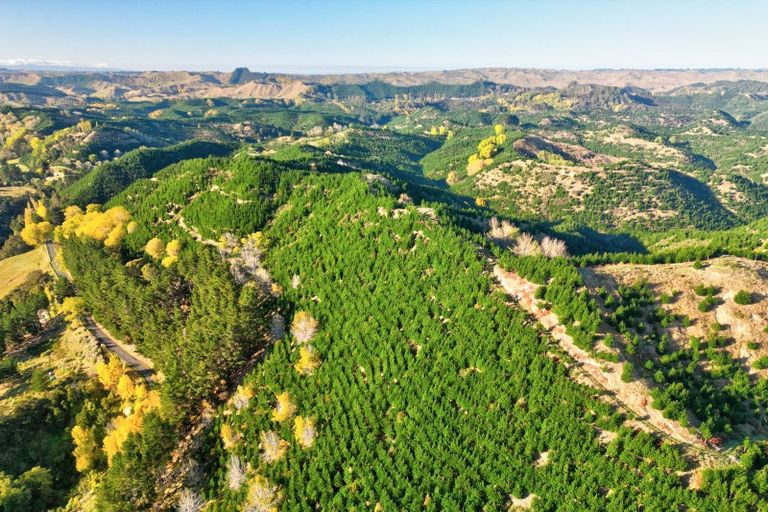 Photo of property in 751 Ongo Road, Hunterville, 4782